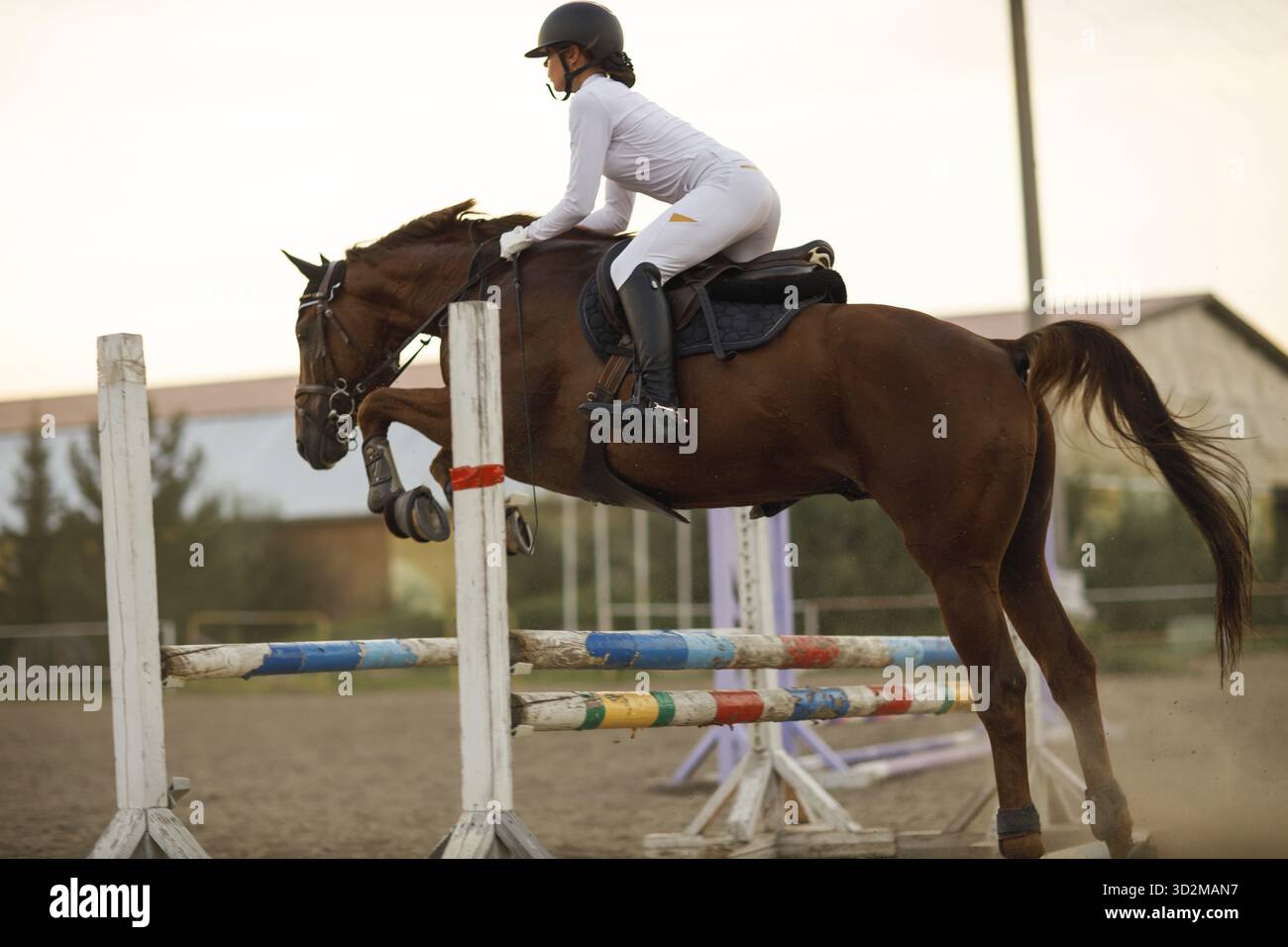 Dressage horse and rider in uniform during equestrian jumping ...
