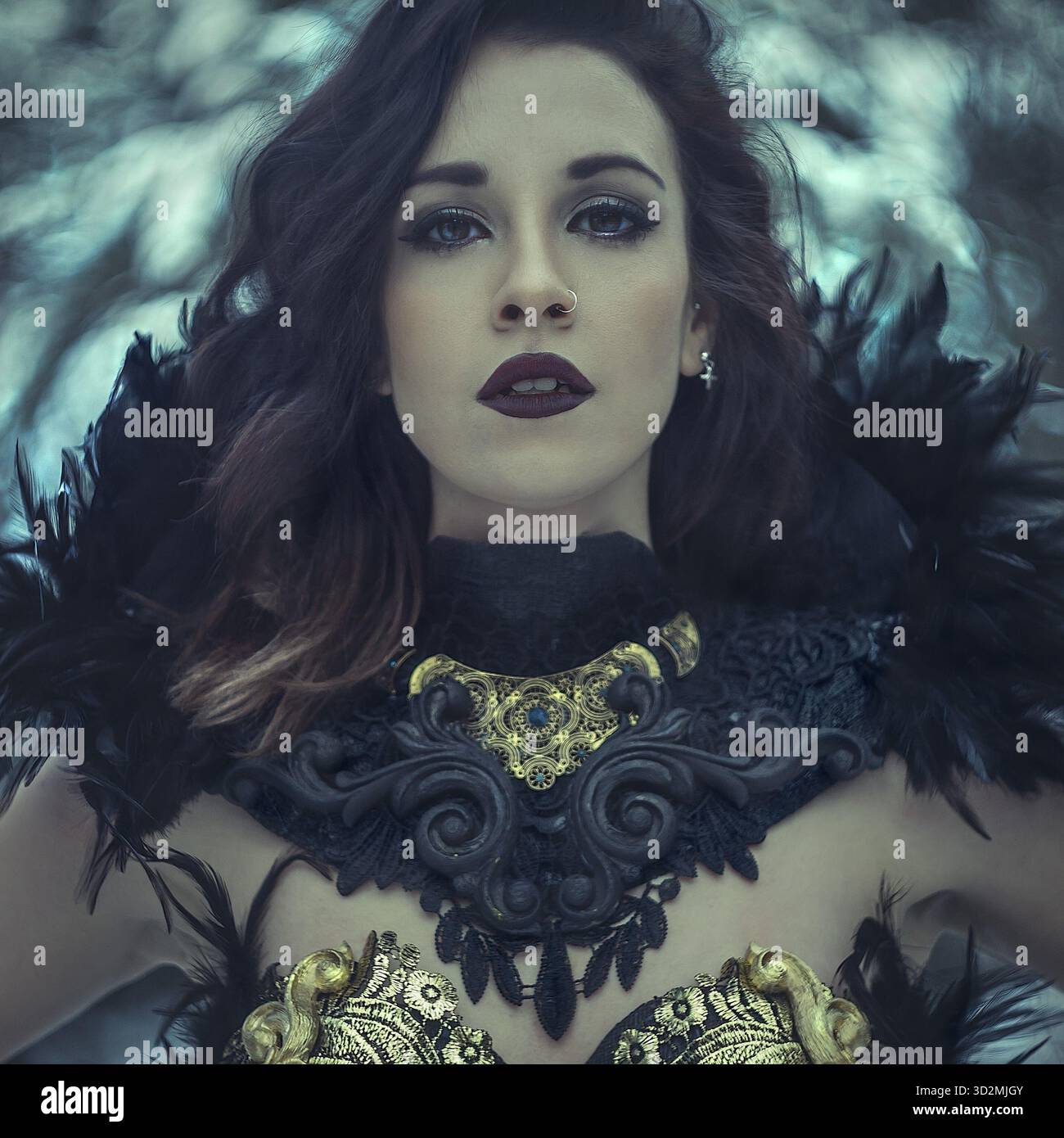 Queen, Beautiful brunette woman with gothic dress made in gold and black  threads. It is in a snowy forest in winter. fantasy con Stock Photo - Alamy