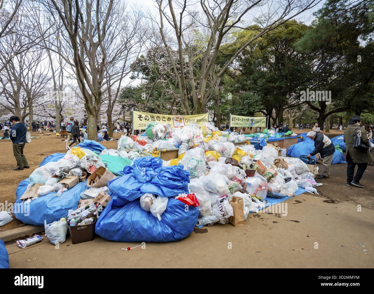 Trash Point Large piles of trash at a garbage collection point, garbage bags ...