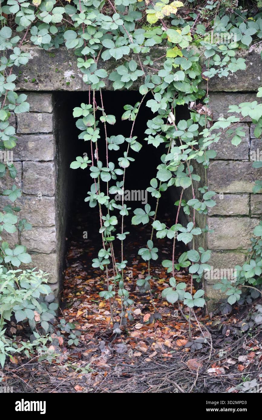 an almost overgrown Brick passage Stock Photo - Alamy