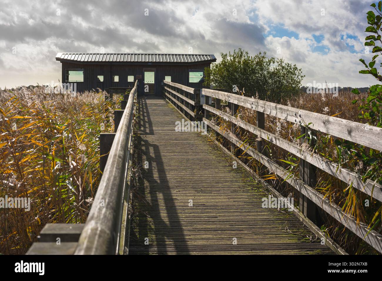Bird hide UK, view of the approach to one of six bird hides sited in the RSPB Minsmere Nature Reserve in Suffolk, England, UK Stock Photo