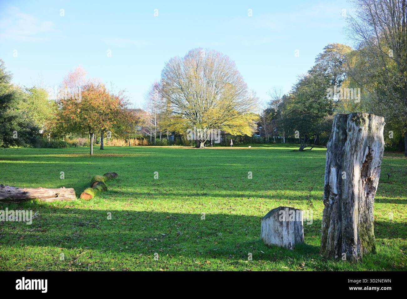 Autumn Scenes Stock Photo