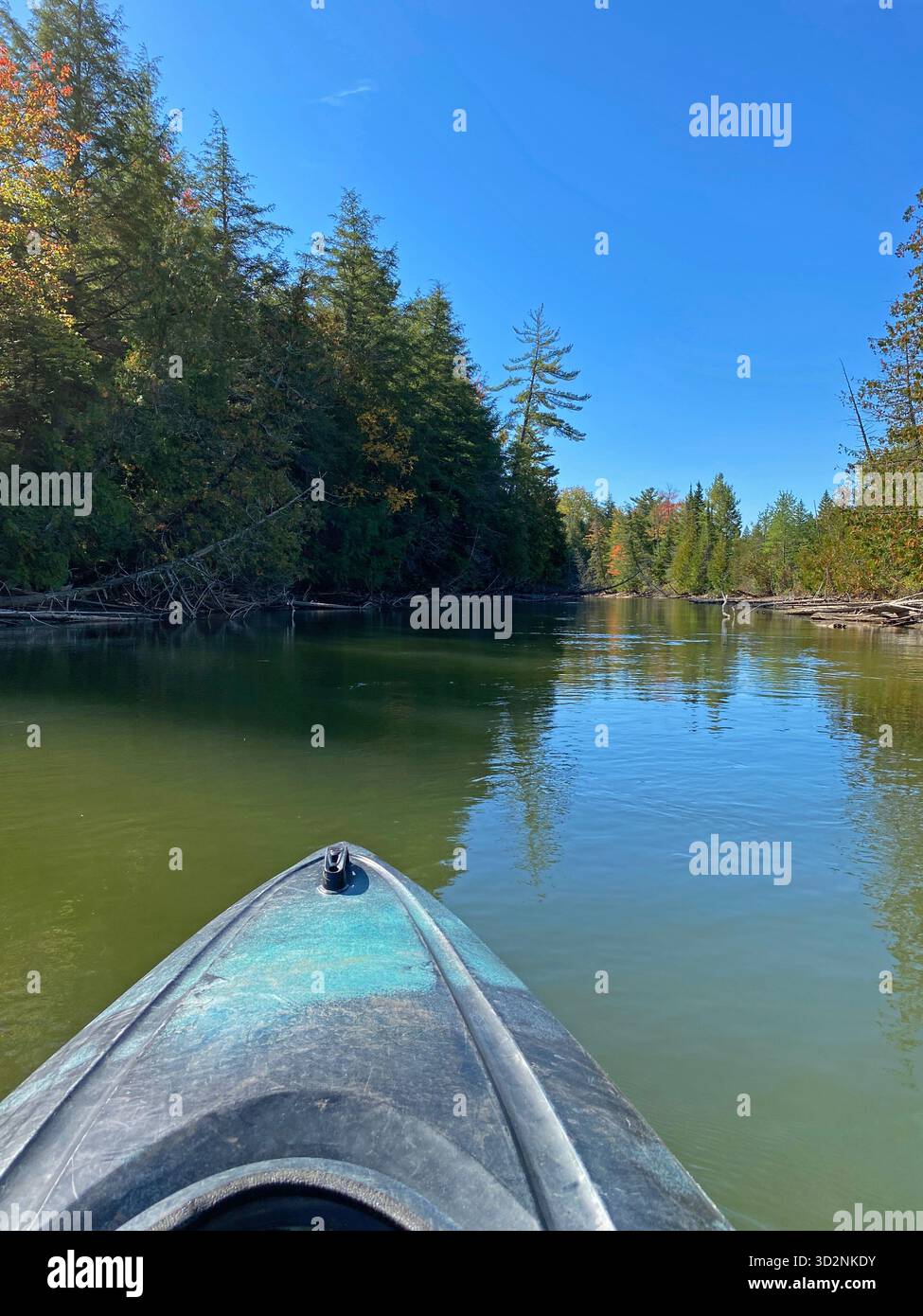 Kayaking down the Manistique River through a forest, lined with trees changing colors in the fall,  in Germfask, Michigan - Smartphone Captured Stock Image