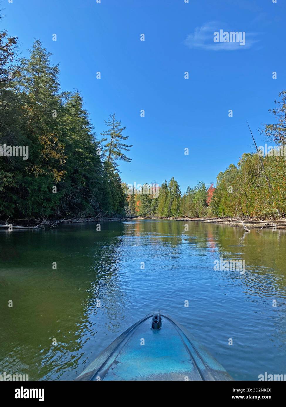 Kayaking down the Manistique River through a forest, lined with trees changing colors in the fall, and fallen logs, in Germfask, Michigan - Smartphone Captured Stock Image