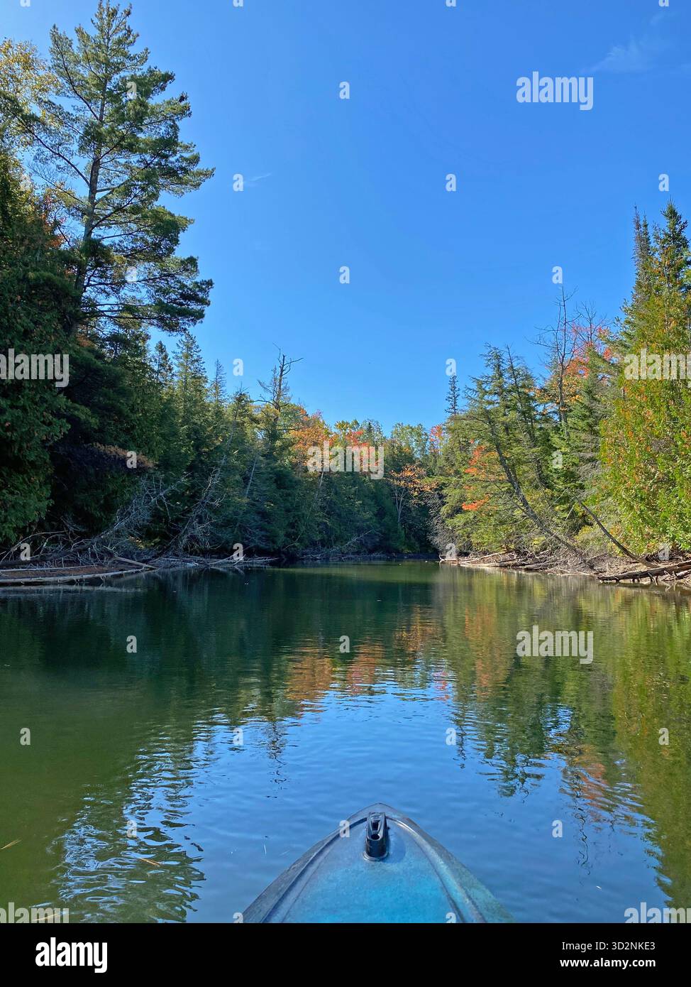 Kayaking down the Manistique River through a forest, lined with trees changing colors in the fall, and fallen logs, in Germfask, Michigan - Smartphone Captured Stock Image