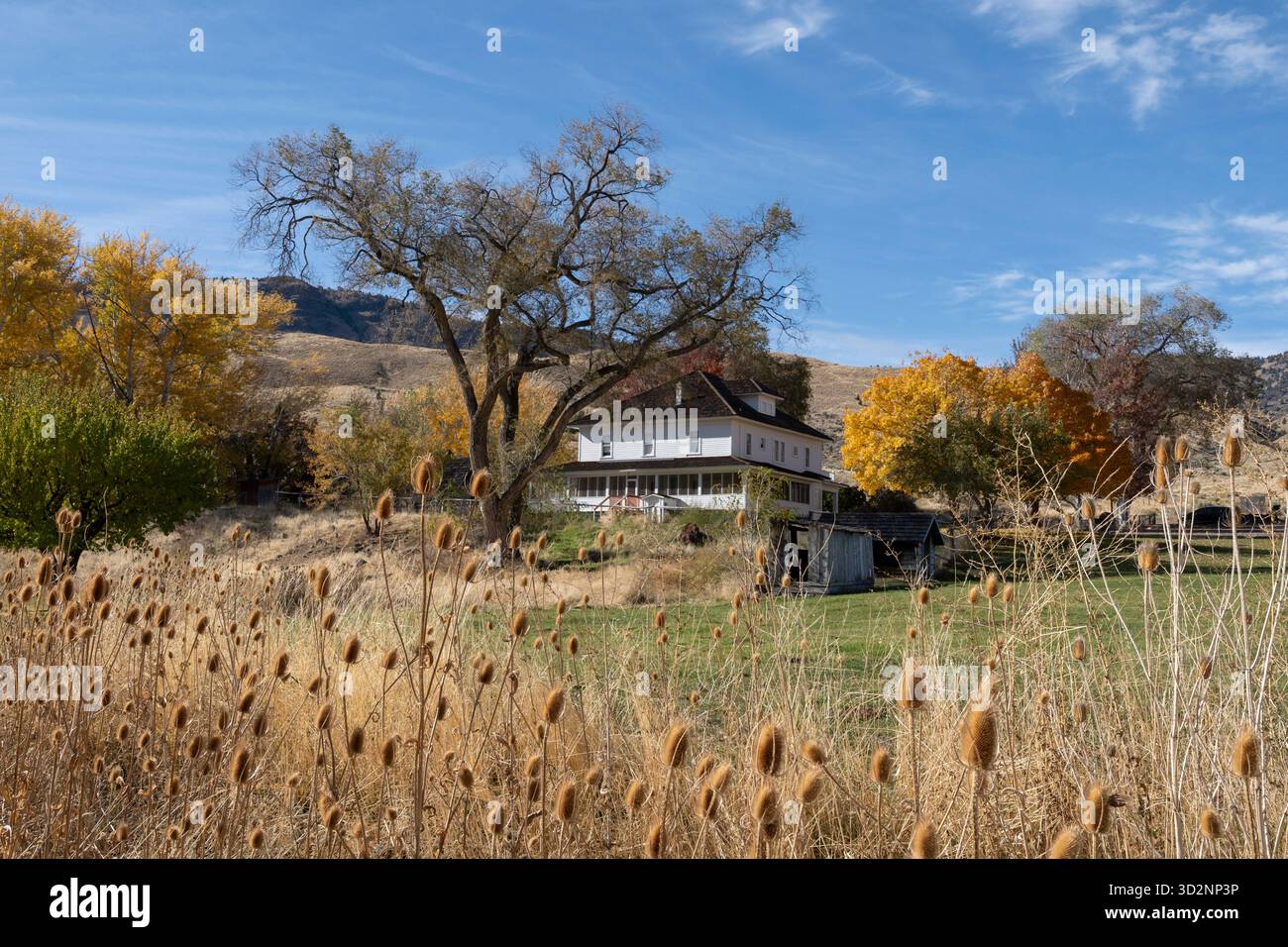 View of the historic Cant Ranch at John Day Fossil Beds National Monument, Oregon on October 28, 2025. National parks and monuments remain partially a Stock Photo
