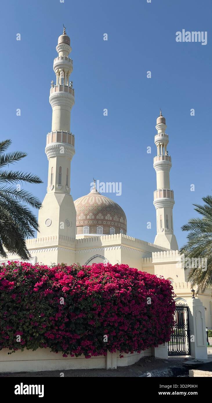 Pictures in Oman - Smartphone Captured Stock Image