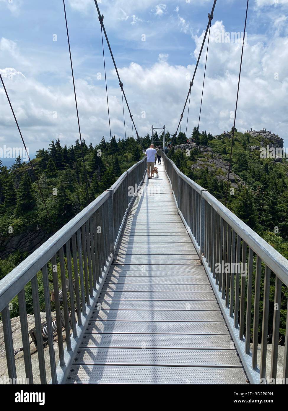 long pedestrian cable bridge stretching across mountain valley - Smartphone Captured Stock Image