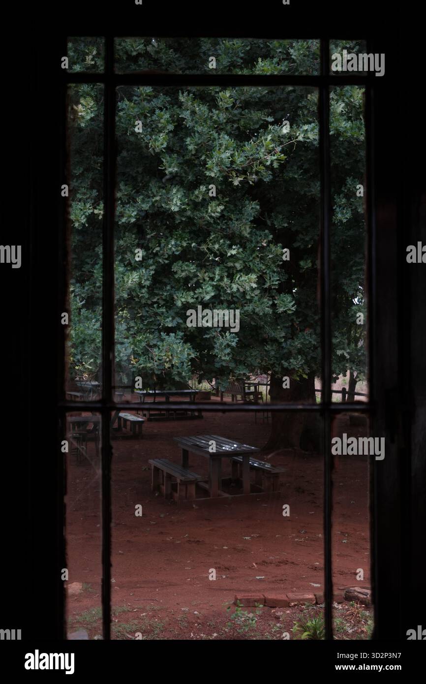 Large leaves wooden tables hi-res stock photography and images - Alamy