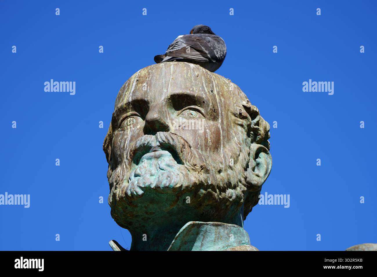 Specialty Coffee Lovers, image size:1300x957