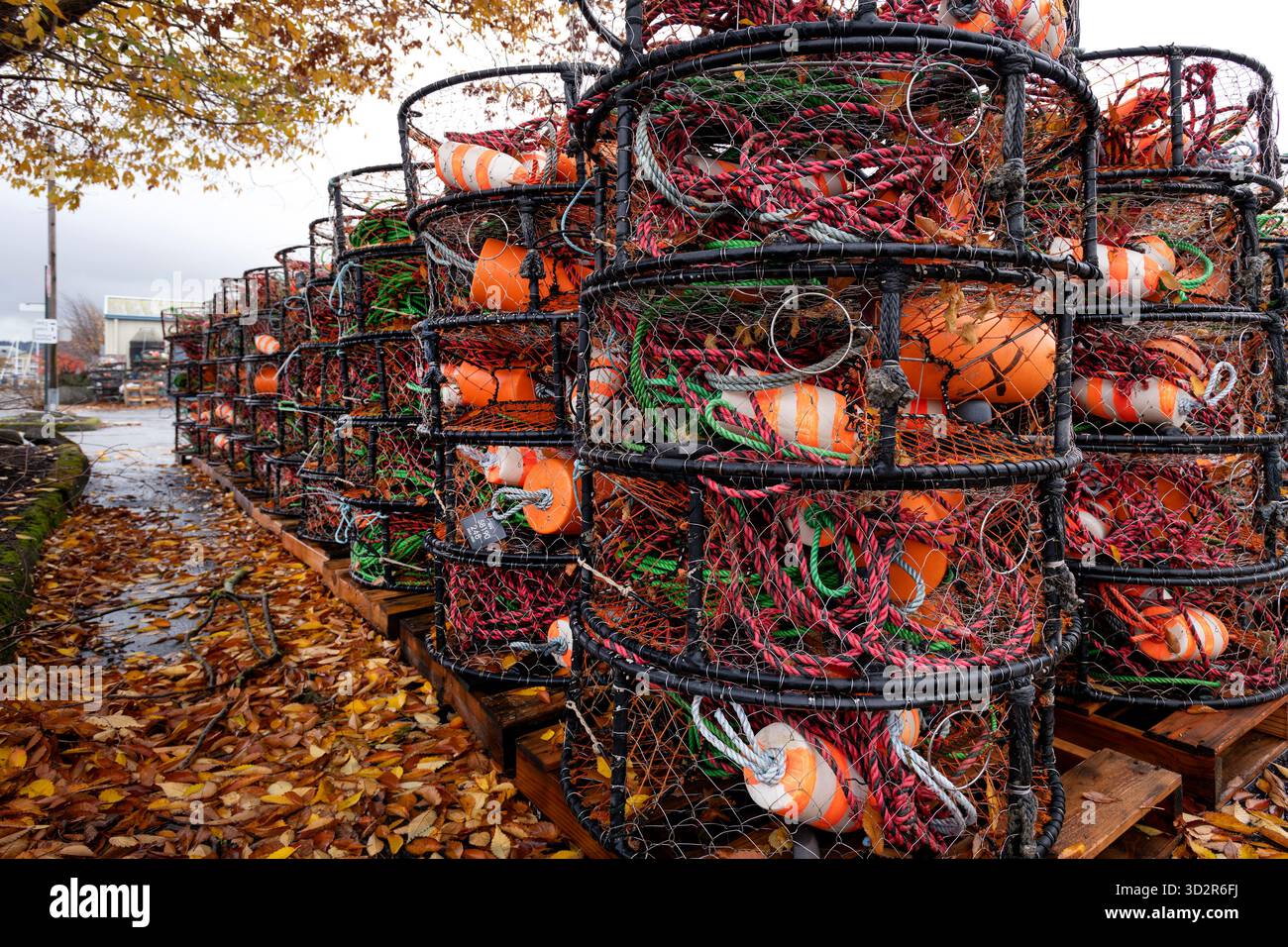 USA, Washington State, Bellingham. Crab pots stacked. Stock Photo