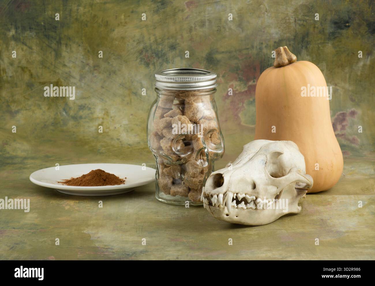 Raw sugar cubes in a skull jar, and a coyote skull next to a pumpkin and a white plate of cinnamon. Stock Photo