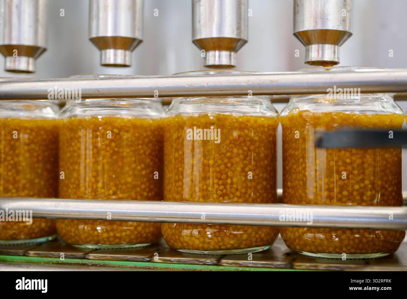 Mustard production process showcasing glass jar packaging with rich ...