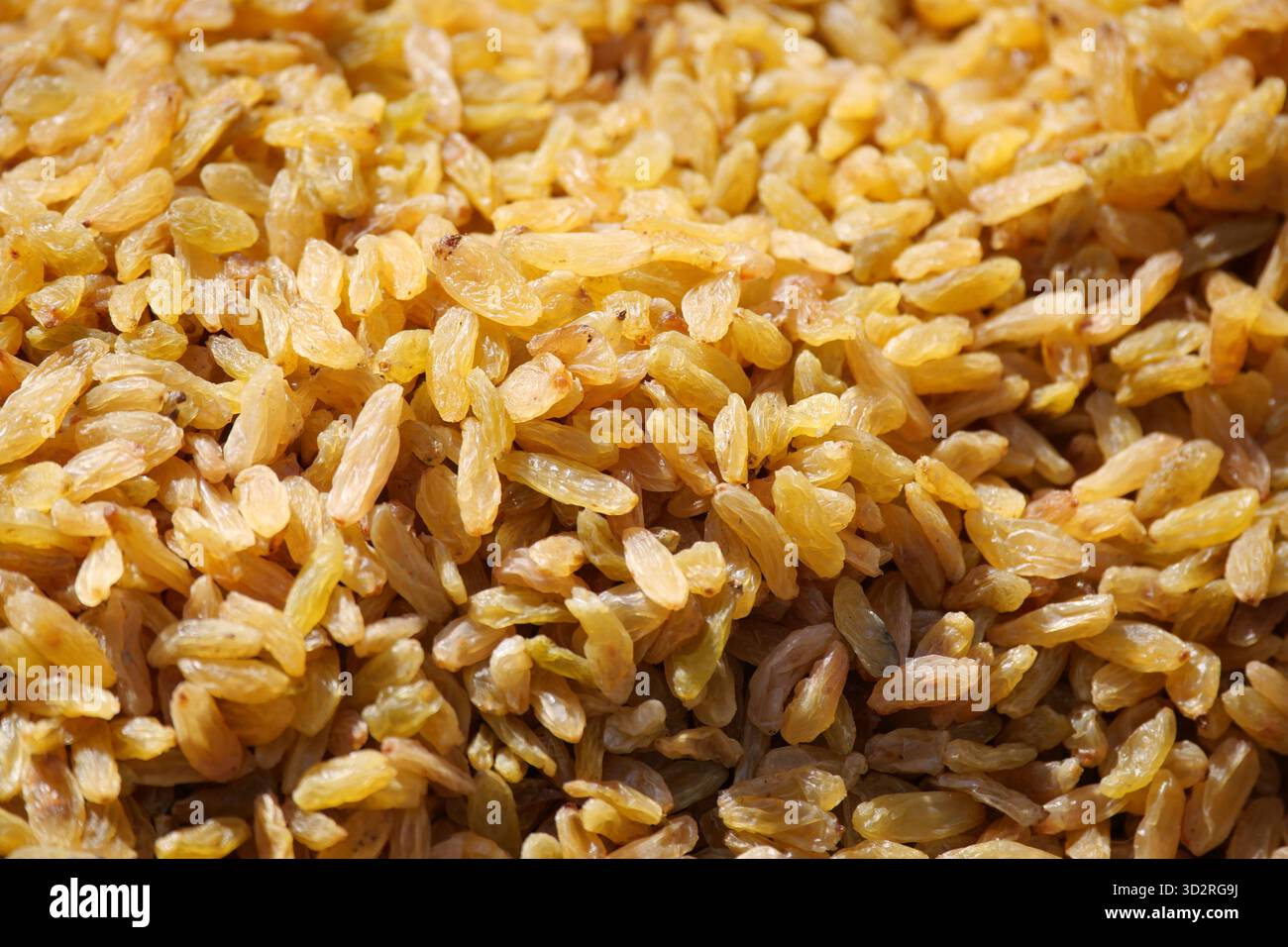 Plump golden grains rice hi-res stock photography and images - Alamy