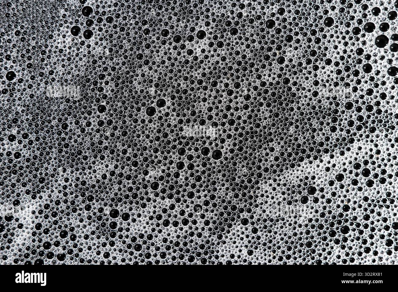 Captivating abstract foam pattern. White suds and tiny bubbles spread ...