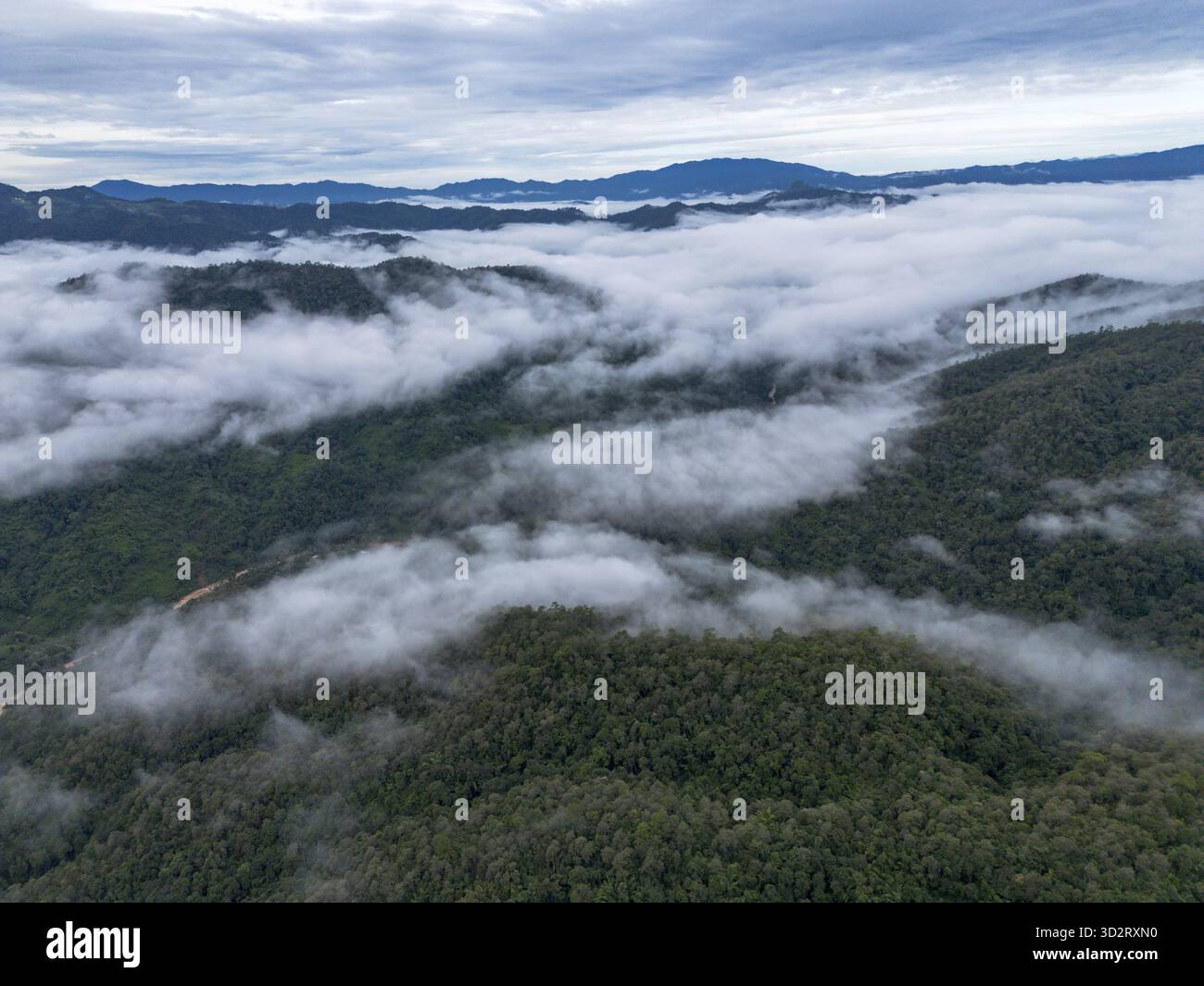 Serene aerial view of majestic green mountain landscape covered with sea of clouds. tranquil fog fills valley on peaceful morning creating stunning vi Stock Photo
