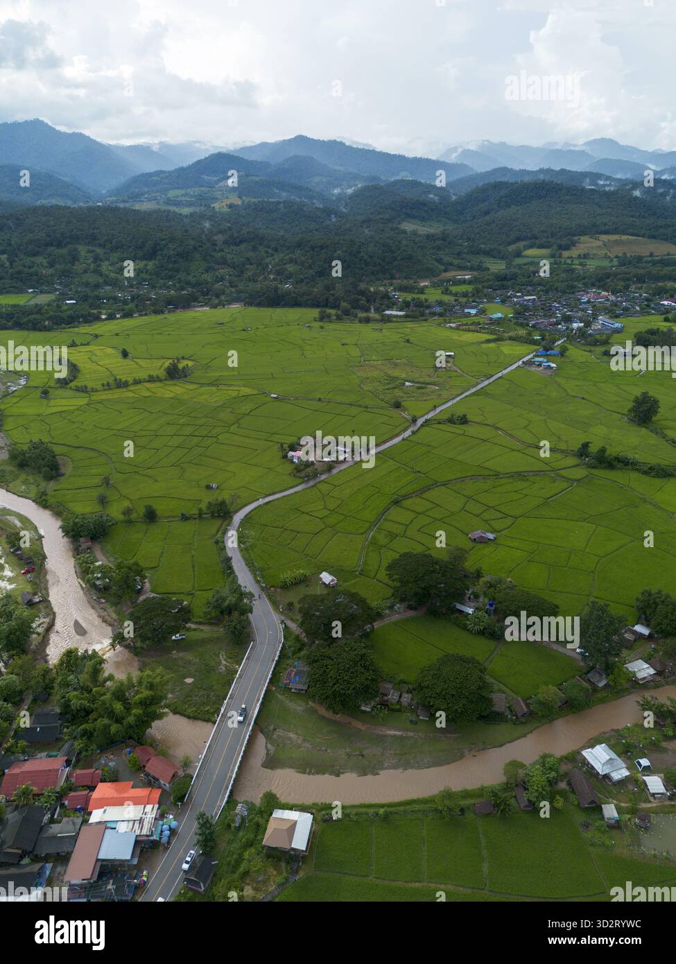 Jungle paddy road hi-res stock photography and images - Alamy