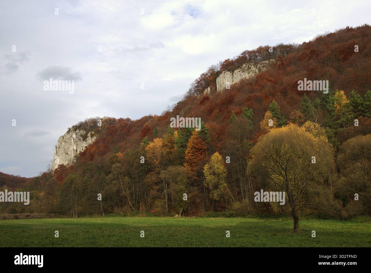 Mix of deep reds hi-res stock photography and images - Alamy