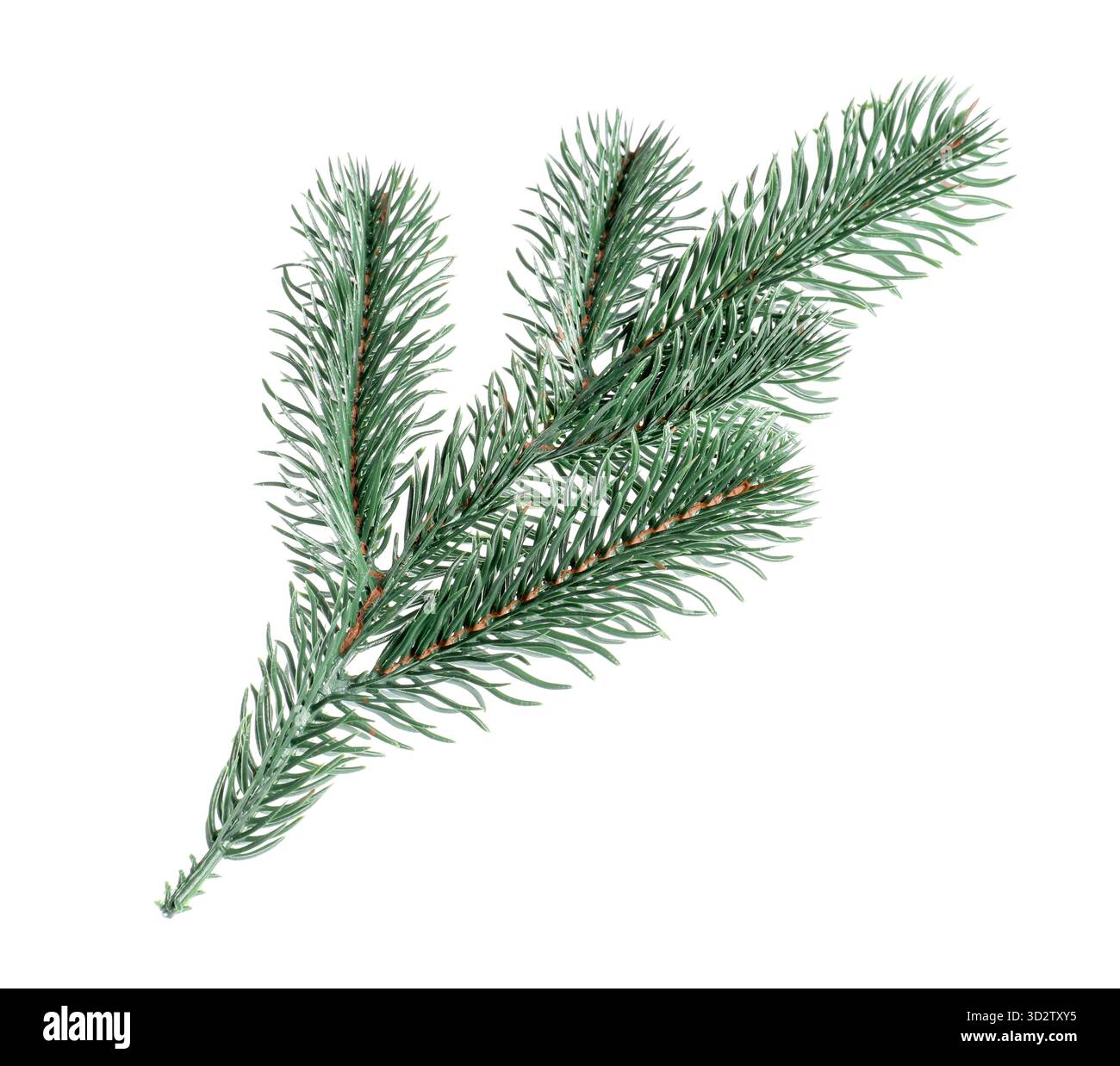 Branch of artificial fir tree isolated on white. Christmas decor Stock ...