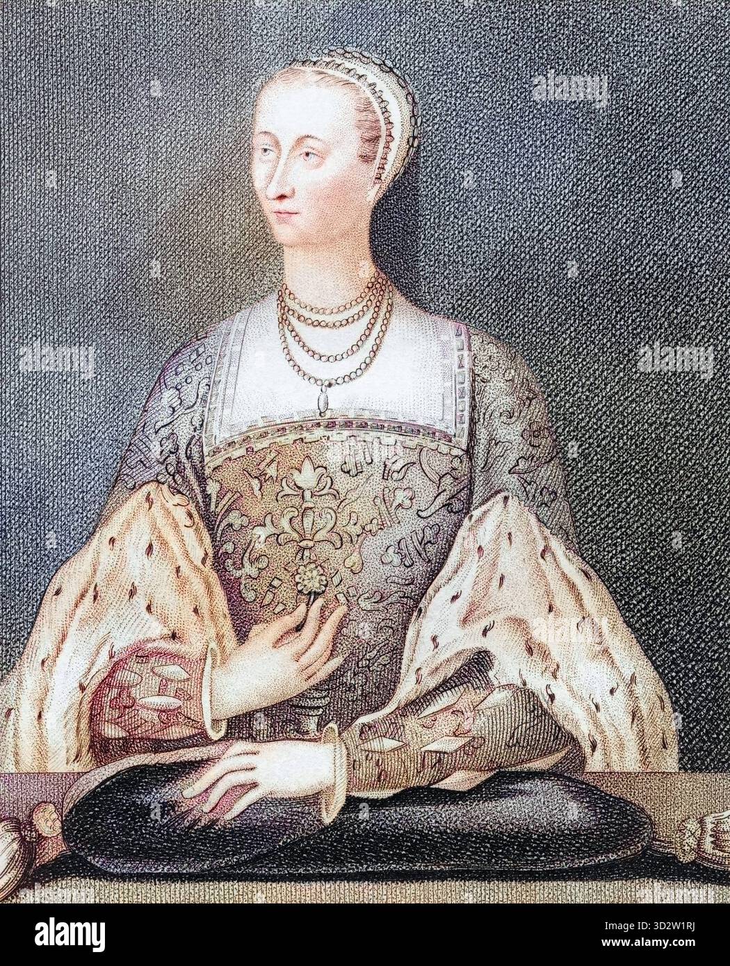 5 von 1560
