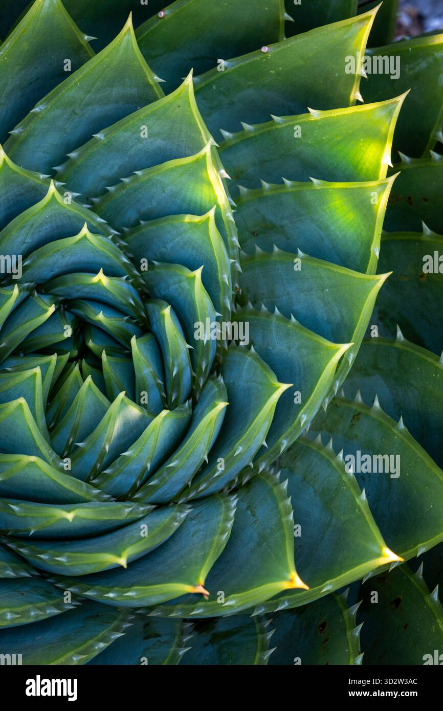 deo aloe vera DEO PAPERTUBE – ALOE VERA – BEN&ANNA main image 0