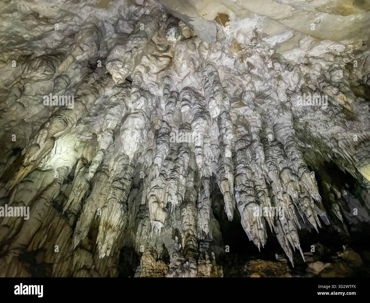 Detailed view of massive stalactites hanging from the ceiling of the Ice Cave in Uvac Canyon, Serbia, showcasing incredible natural limestone formatio - Smartphone Captured Stock Image