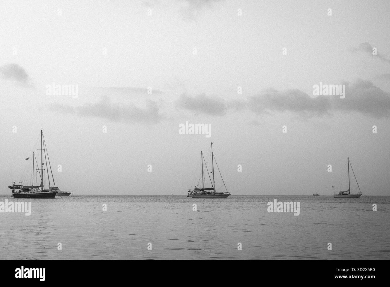 Coastal tropical scenery Black and White Stock Photos & Images - Alamy
