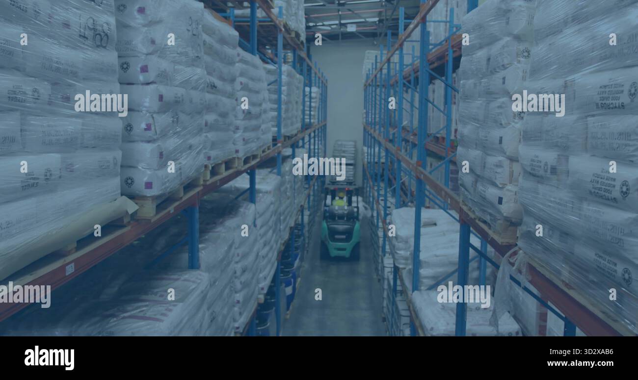 Operating green forklift, warehouse worker wearing safety gear carrying pallets in warehouse aisle Stock Photo