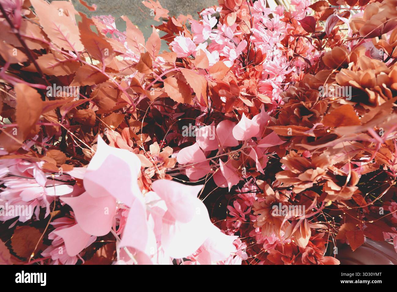 Artificial flowers with many petals and decorations background Stock Photo