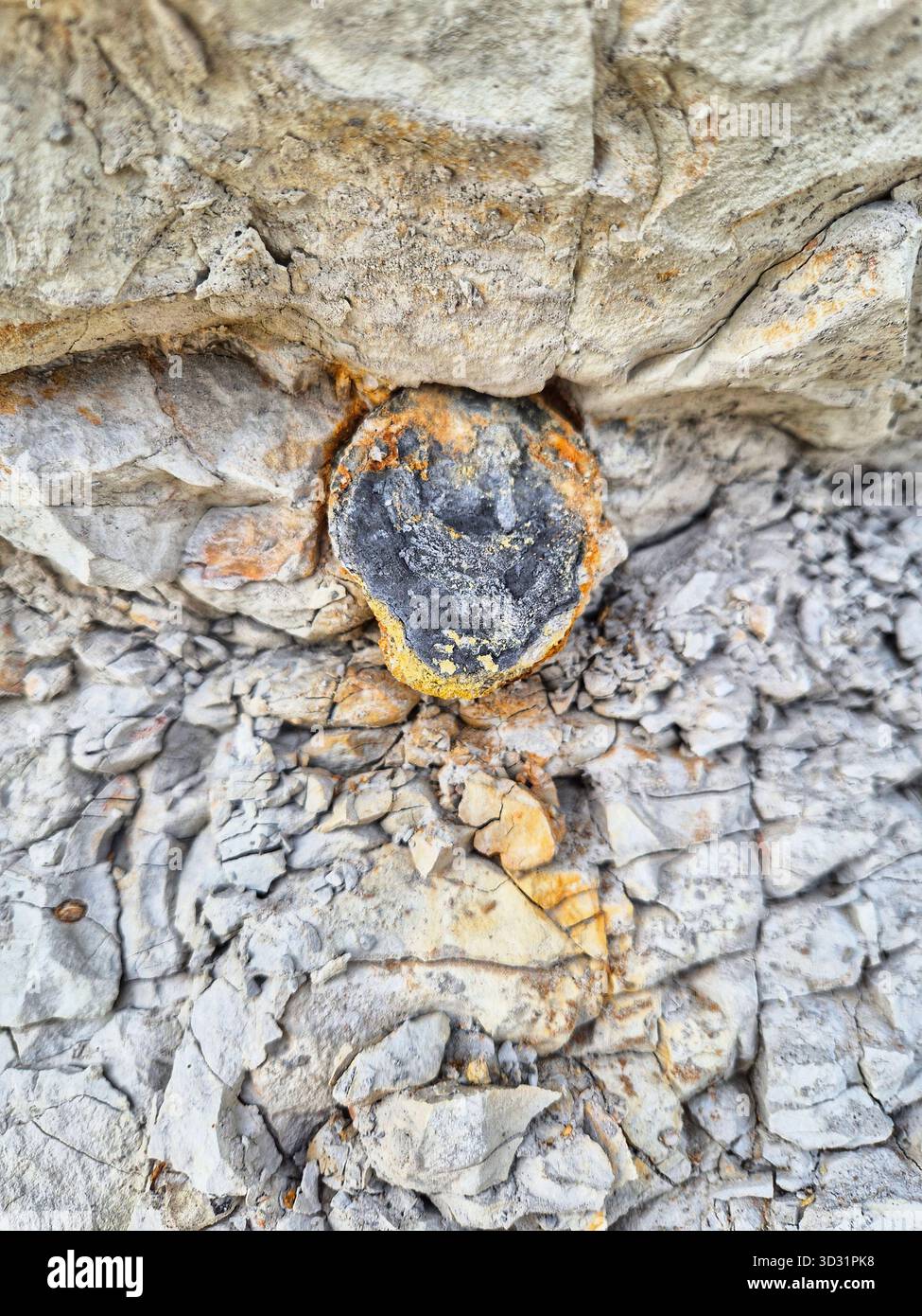 rock and sea shore. White boulder on the sand of a bulgarian beach.Close-up of rock on beach sand. Geological detail on the black sea coast - Smartphone Captured Stock Image