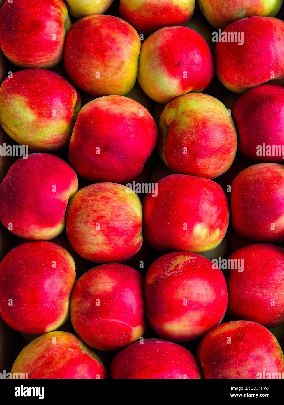 Ripe Red and Yellow Apples Background. Close-up Apple Pattern.Fresh Harvest Apples - Smartphone Captured Stock Image