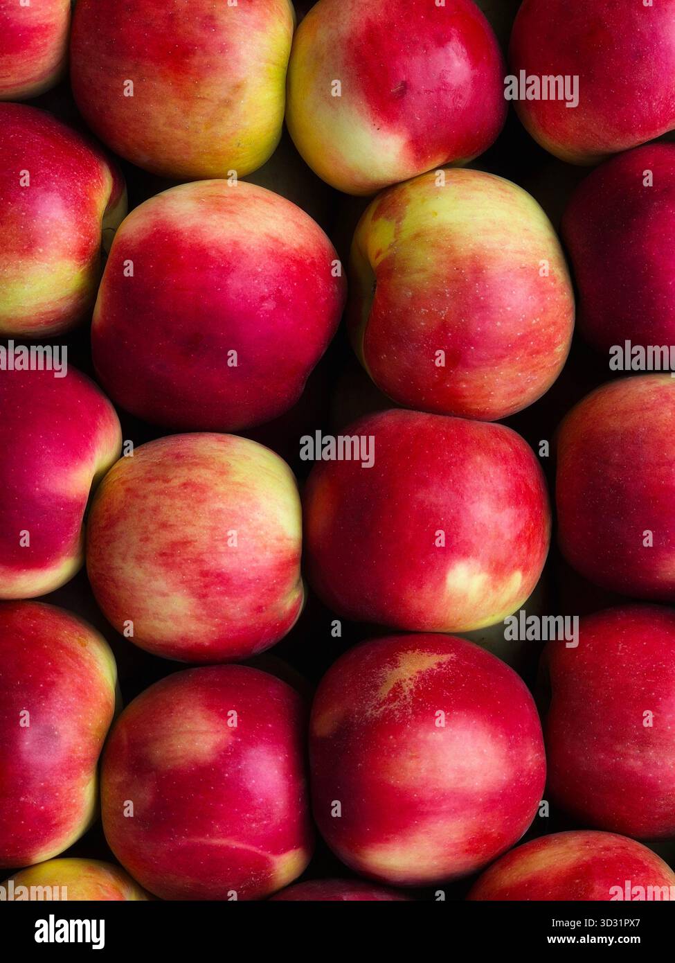 Ripe Red and Yellow Apples Background. Close-up Apple Pattern.Fresh Harvest Apples - Smartphone Captured Stock Image