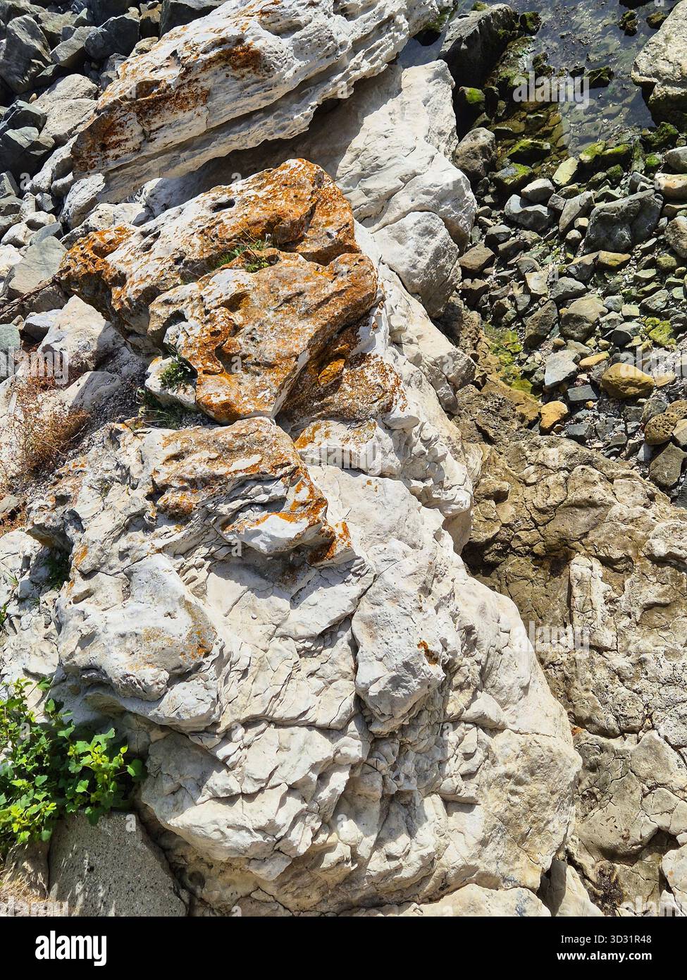 Rugged Coastal Rock Formation Texture with Rust Tones - Smartphone Captured Stock Image
