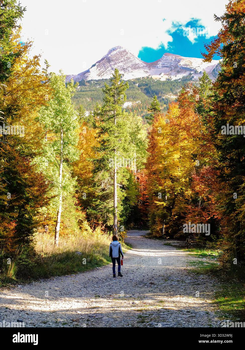 Autumn leaves in woman hi-res stock photography and images - Alamy