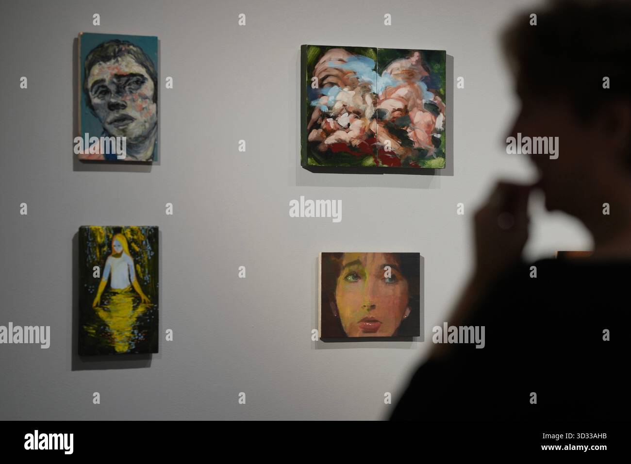 The paintings 