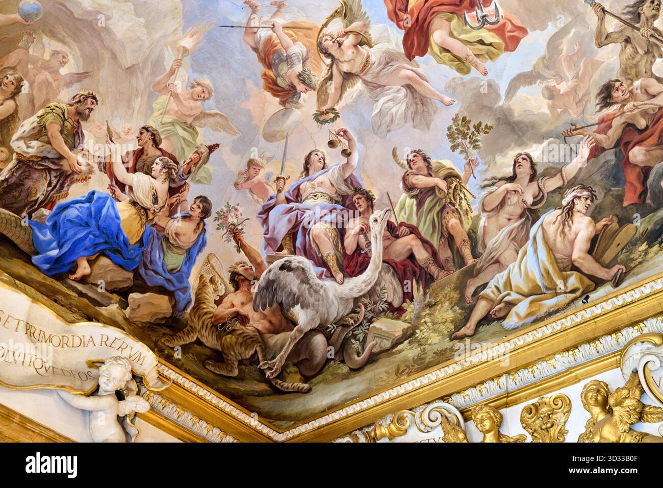 Dentro la sala degli specchi - Fandango Libri