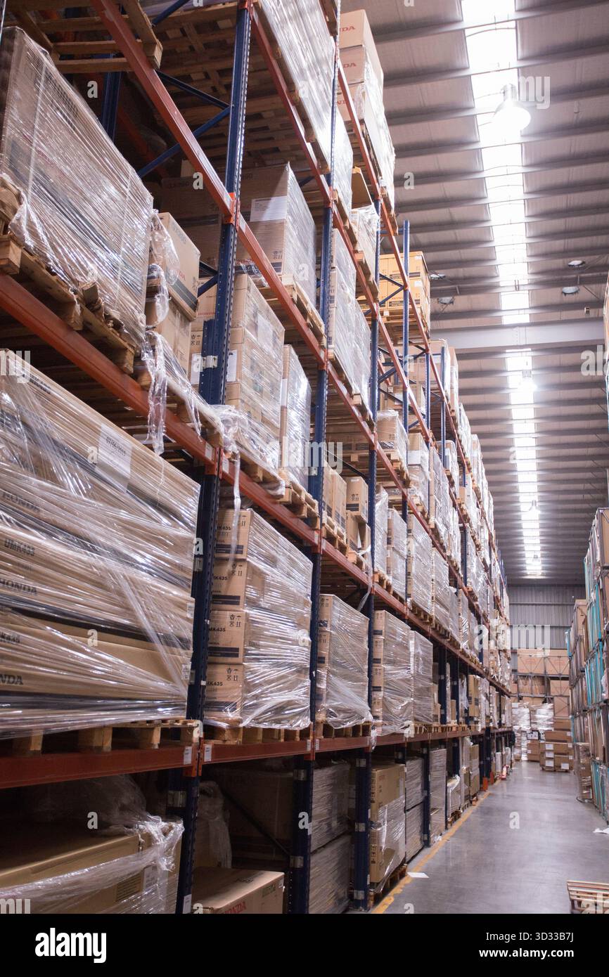 Men at work, wearing protective stuff, handling boxes in a warehouse Stock Photo