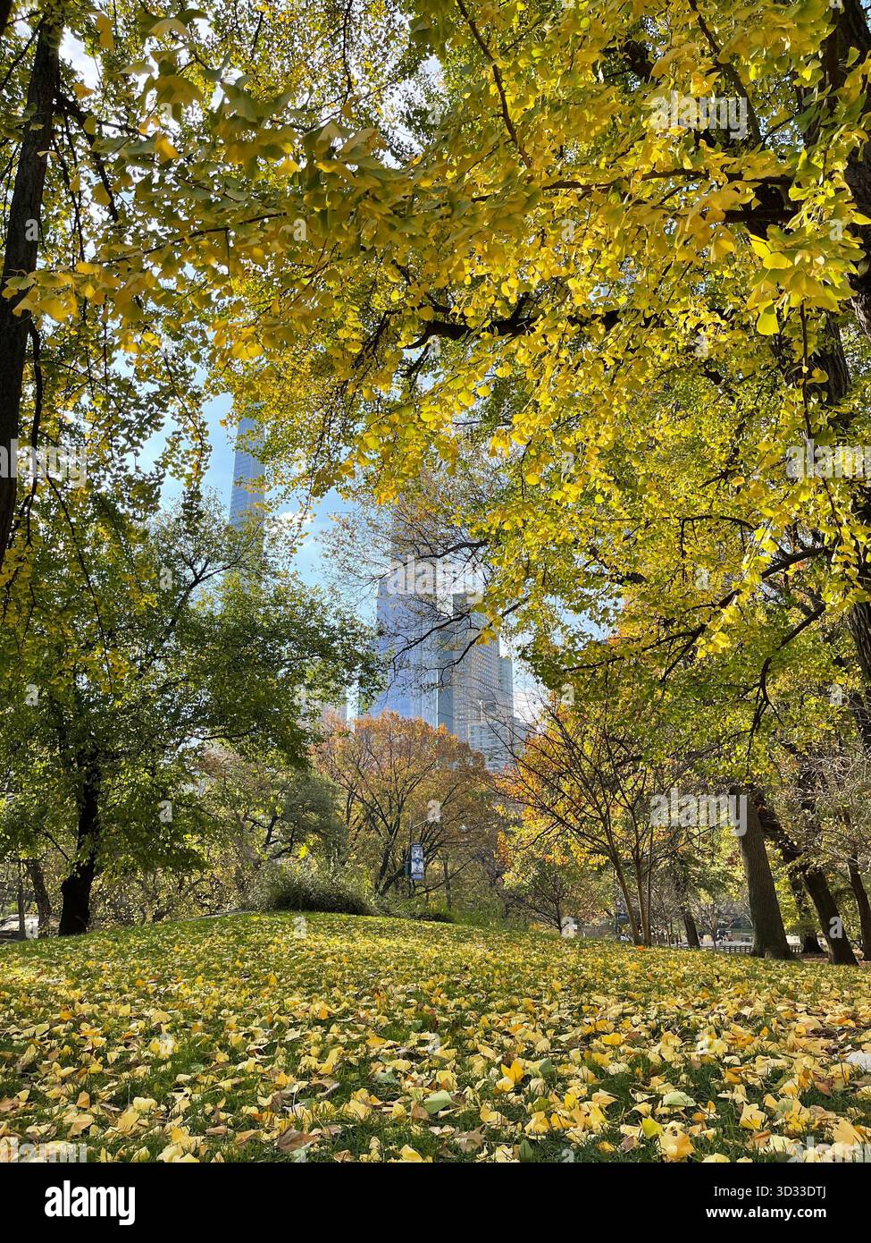 The spirit of autumn in Central Park, New York City - Smartphone Captured Stock Image