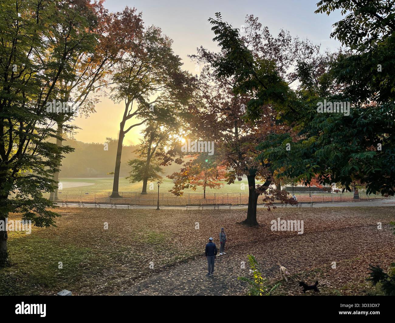 The spirit of autumn in Central Park, New York City - Smartphone Captured Stock Image