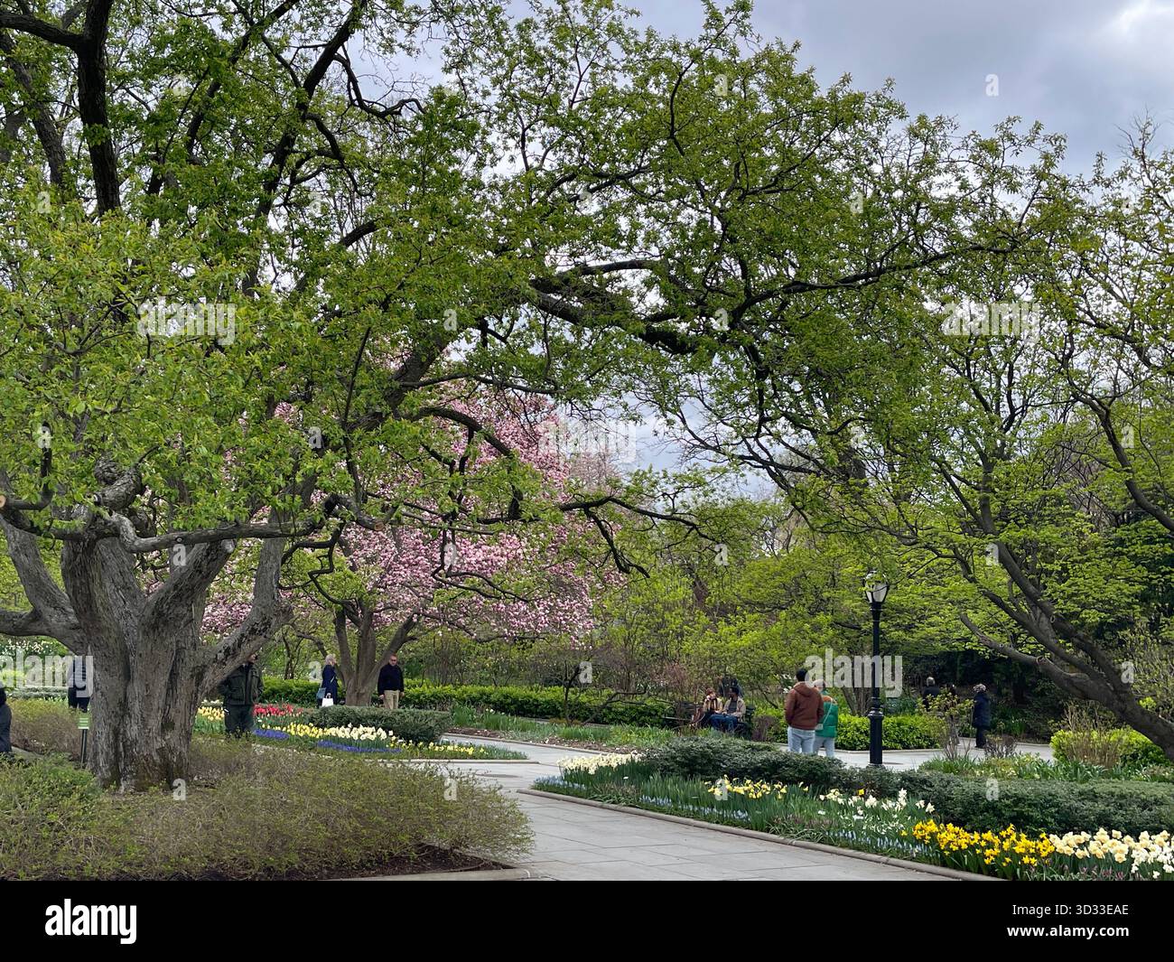 Central Park’s Conservatory Garden blooms in vibrant summer greens - Smartphone Captured Stock Image