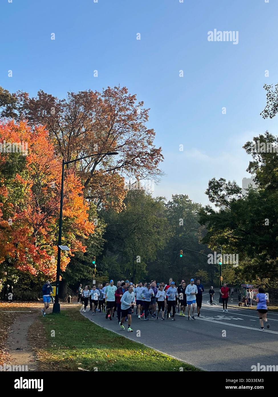 Energy and determination fill the paths of Central Park during a running race. - Smartphone Captured Stock Image