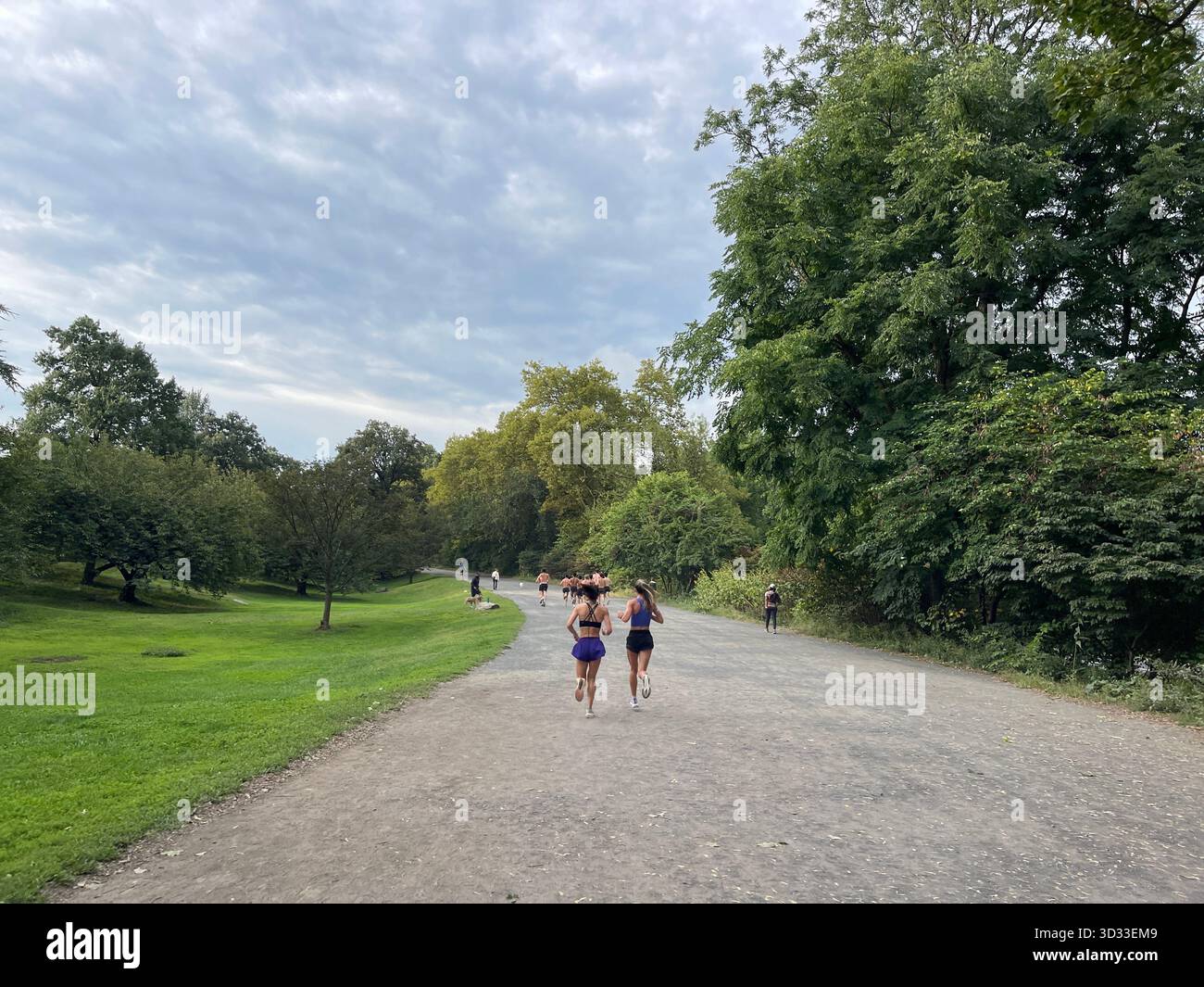 Energy and determination fill the paths of Central Park during a running race. - Smartphone Captured Stock Image