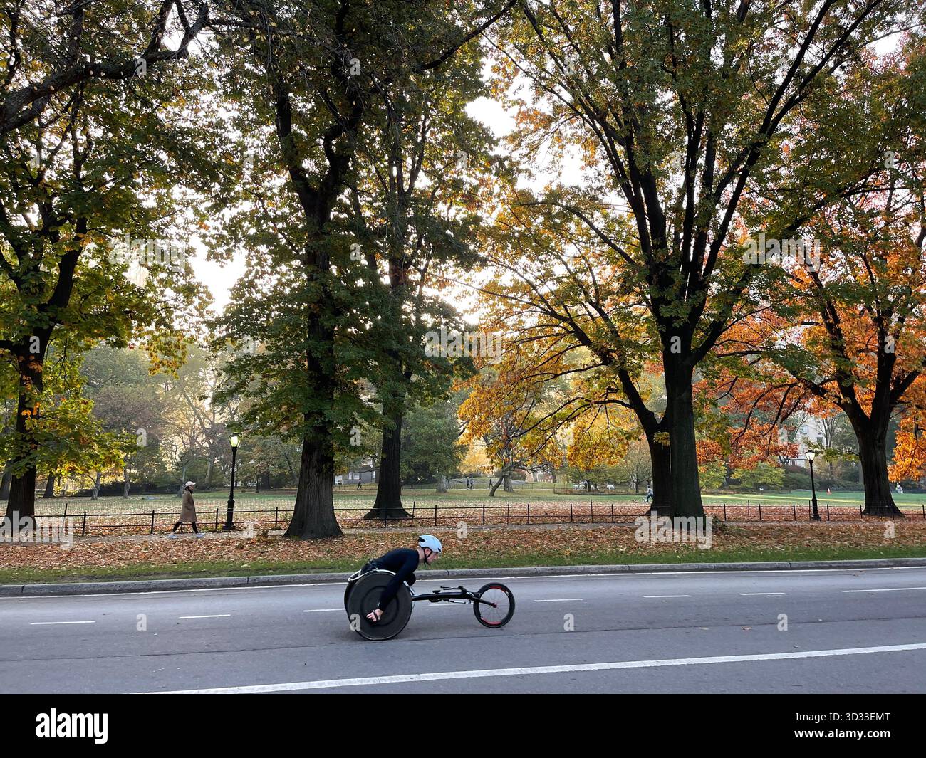 Energy and determination fill the paths of Central Park during a running race. - Smartphone Captured Stock Image