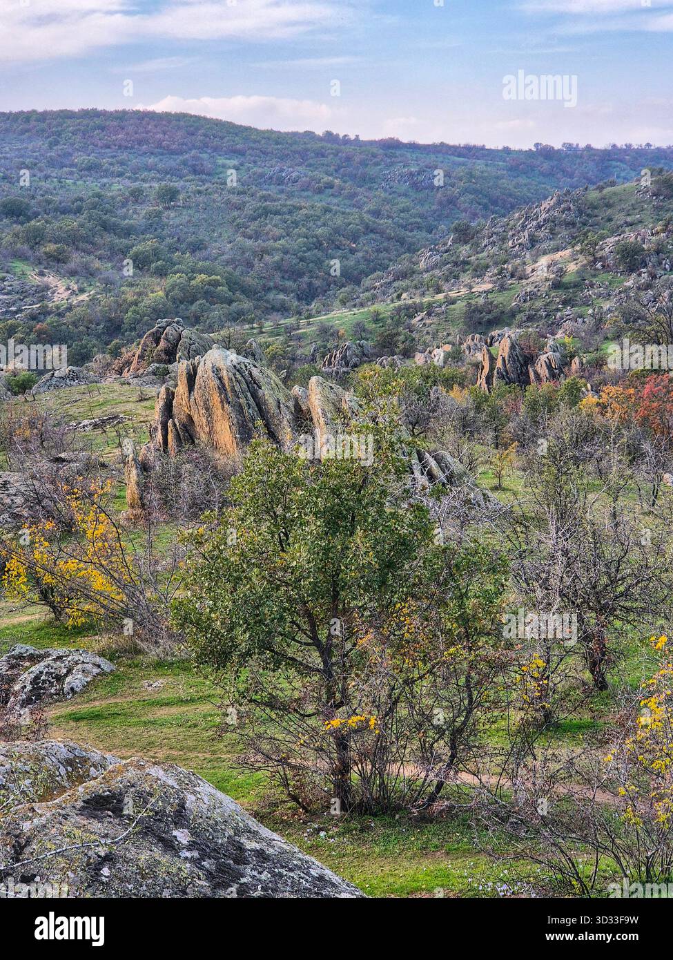18 Slope Garden Ideas for Planting on Hillsides or Other Uneven Ground, image size:975x1390