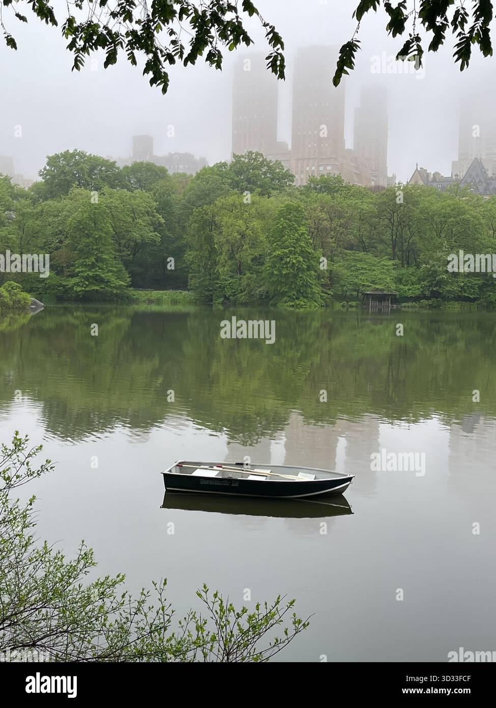 Lush green landscape of Central Park in summer, New York City - Smartphone Captured Stock Image