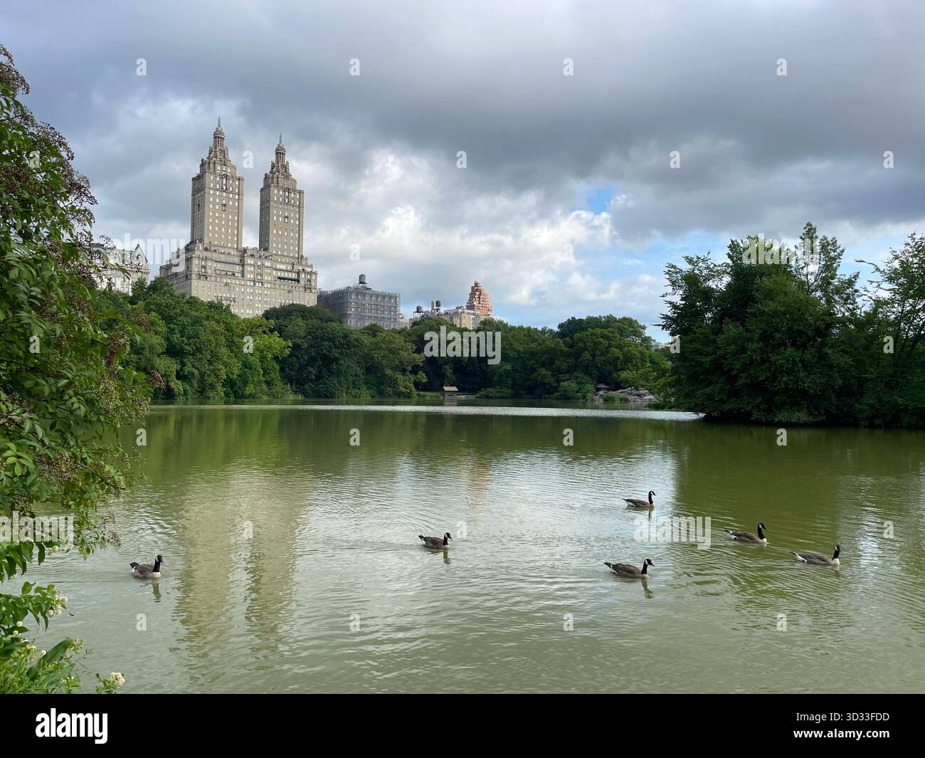 Summer wraps the Lake in lush greenery, reflecting Central Park’s calm beauty. - Smartphone Captured Stock Image