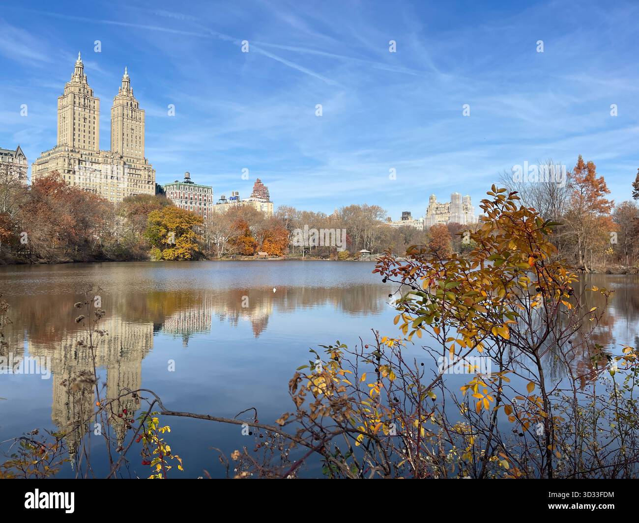 The spirit of autumn in Central Park, New York City - Smartphone Captured Stock Image