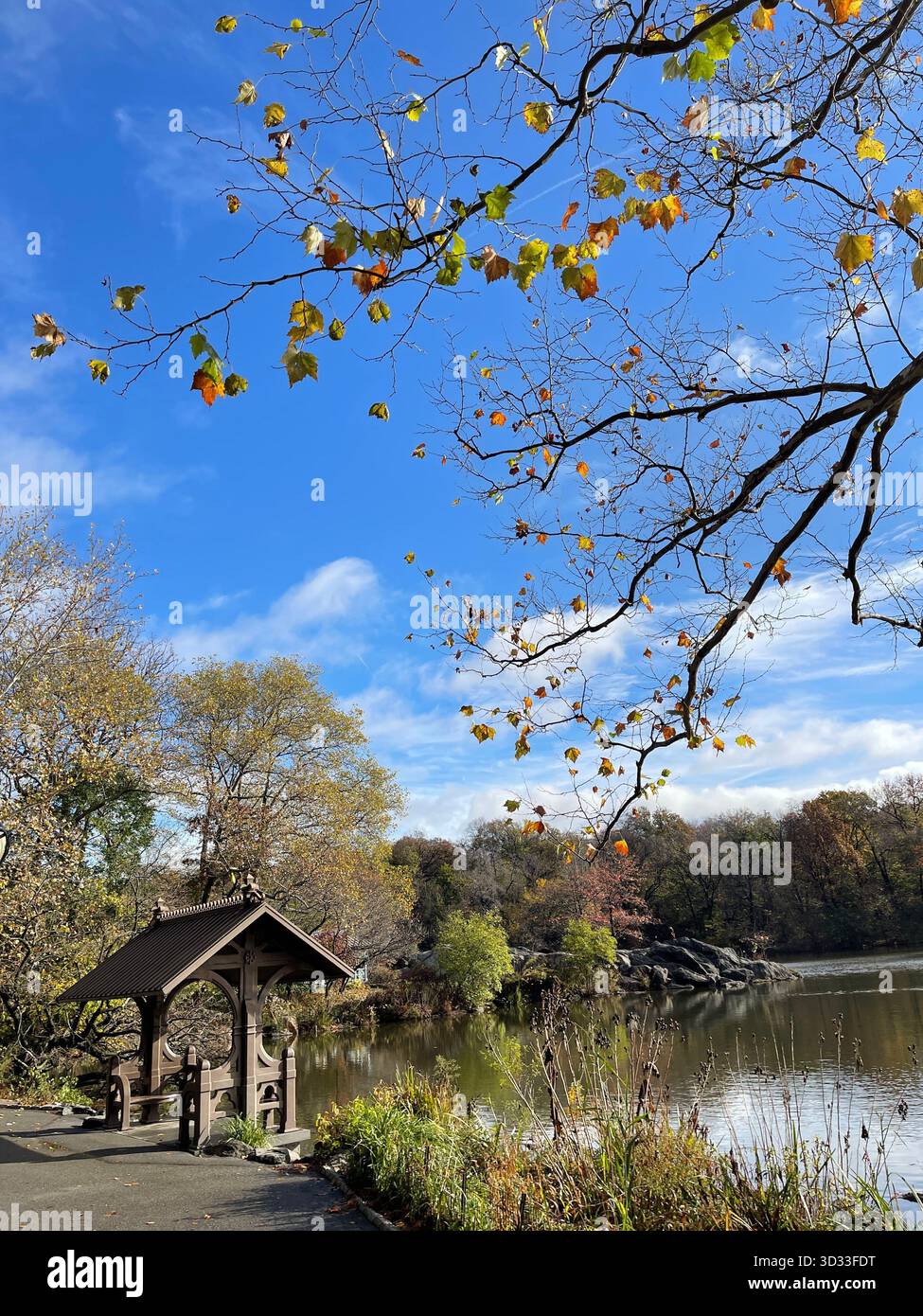The spirit of autumn in Central Park, New York City - Smartphone Captured Stock Image