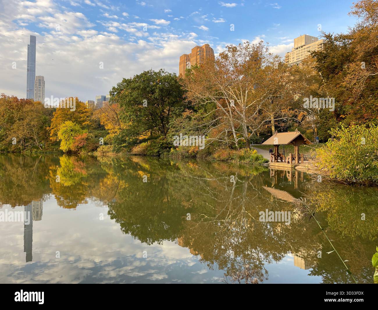 The spirit of autumn in Central Park, New York City - Smartphone Captured Stock Image
