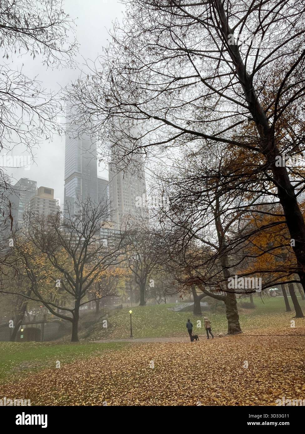The spirit of autumn in Central Park, New York City - Smartphone Captured Stock Image